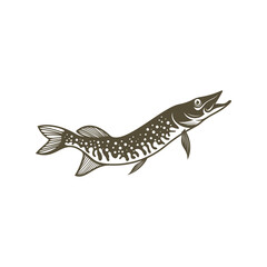 Pike fish silhouette vector illustration. Design for fishing club or team as well as seafood