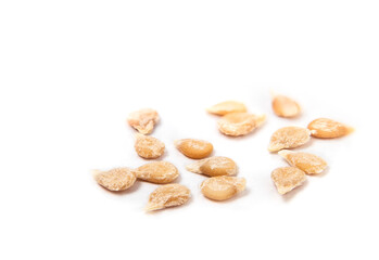 Bush cherry tomato seeds for starting tomato plants in spring, macro. Pile of 2-3 mm little yellowish red robin tomato seeds. Compact dwarf bush tomate for small container garden. Selective focus.