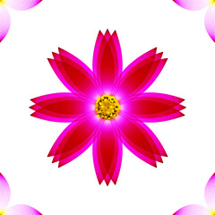 Cosmea flower, geometric pattern, vector.
