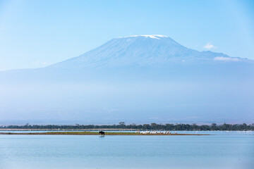 Fototapeta premium Stunning scenery of Kilimanjaro, Amboseli National Park, Kenya