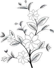 manual pencil roses bush illustration of three flowers and leaves, coloring template