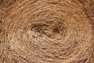 Close up of the golden straw bale