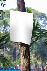 A blank white signboard hanging with a long tree and the background blur.