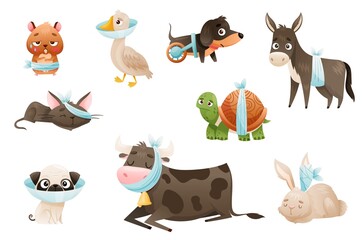 Sick baby animals set. Sad bandaged goose, donkey, puppy, kitten, hamster, turtle cartoon vector illustration