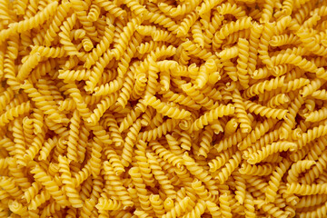 Raw Dry Organic Rotini Pasta Ready to Cook