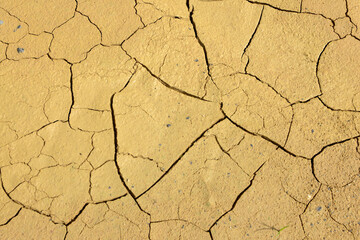 cracked of dry soil