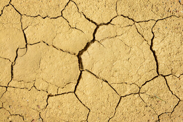 cracked of dry soil