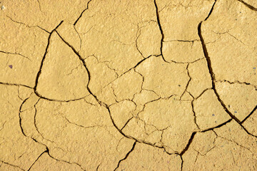 cracked of dry soil