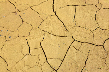 cracked of dry soil
