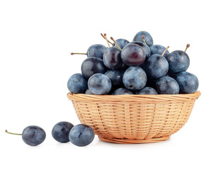 Blackthorn fruits basket isolated on a white background