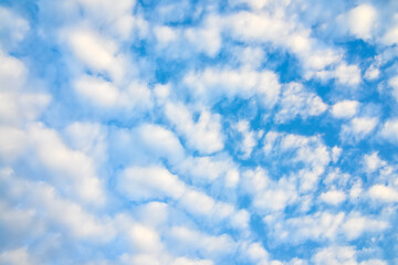 blue sky and white fluffy clouds