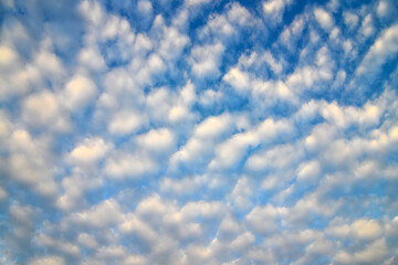 blue sky and white fluffy clouds