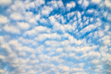Obraz premium blue sky and white fluffy clouds