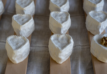 A lot of small cheeses in the shape of a heart, covered with white mold, on a wooden stand. Home production from natural products.