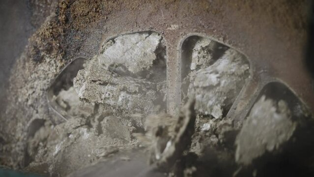 The press produces sunflower oil and cake. Sunflower seeds are raw materials.