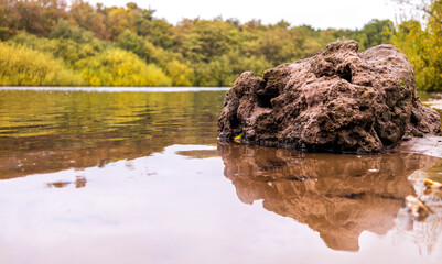 Shore Rock Reflection