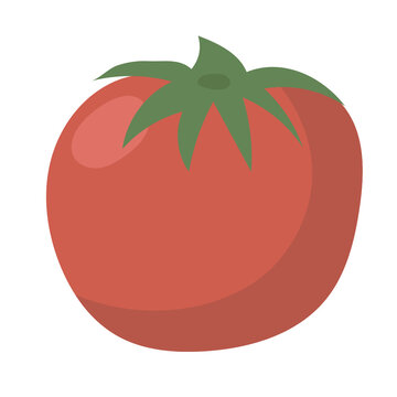 tometo flat icon