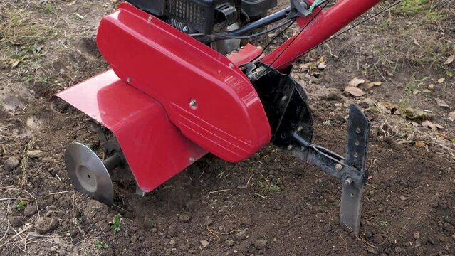 Man works in a vegetable garden with a garden cultivator. Garden cultivator for work, close-up. A man with a tractor working a field on a farm