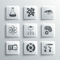 Set DNA symbol, Pipette and plant, Virus, Genetically modified food, Spectrometer, Atom, Test tube flask and Experimental mouse icon. Vector