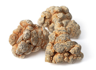 Dried herb, notoginseng roots isolated on white background