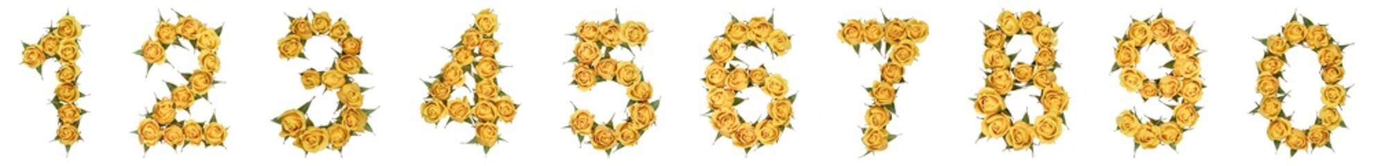 Set of arabic numbers from natural yellow flowers of roses, isolated on white background