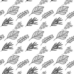 Seamless pattern of hand-drawn plant branches and leaves. Vector floral doodle style for background, textile, design.