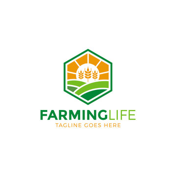 agriculture logo, farming logo design vector illustration