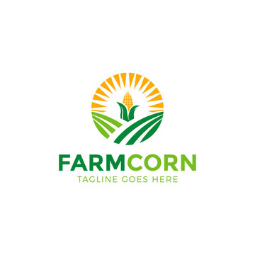 farming corn logo, agriculture logo design vector illustration