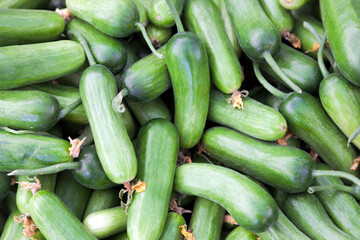 Ripe and Fresh Cucumbers in Food Bazaar