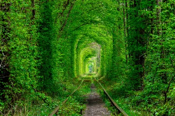 Wandcirkels tuinposter een spoorlijn in de lentebostunnel van liefde © Ruslan Ivantsov