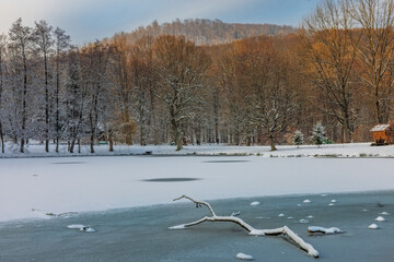 Park in winter in Zakarpattia in Ukraine