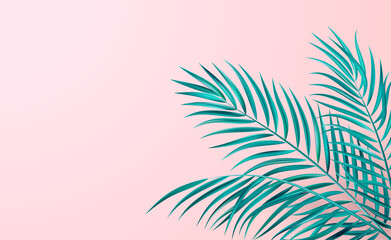 Fototapeta na wymiar Tropical palm leaves corner design color background