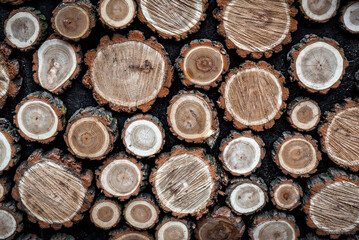 Wooden natural sawn logs as background