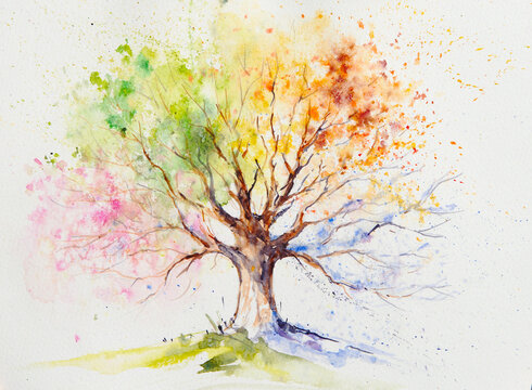 Hand painted illustration of colorful four season tree.Picture created with watercolors on paper.