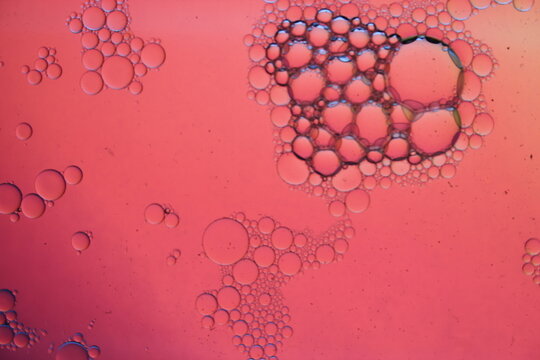 Burbujas de agua y aceite de Soja en la superficie lìquida de color rosa, forman conjuntos de esferas simulando perlas flotando, crean un hermoso diseño abstracto para fondos de diseñador