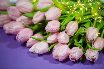 Obraz na płótnie Canvas pink tulips for Valentine's Day, background purple, white