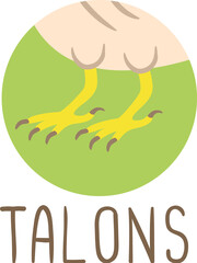 Animal Body Part Eagle Talons Illustration