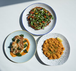 Gourmet foods on the table include burgers, pasta, french fries, vegetable salad, chicken salad, cauliflower, macaroni