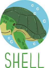 Animal Body Part Shell Illustration