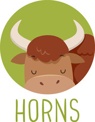 Animal Body Part Yak Horns Illustration