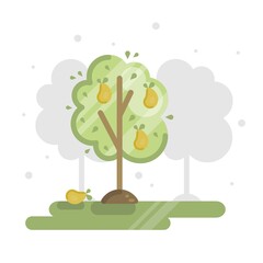 Vector flat illustration with garden background, orchard, pear tree and ripe pears.