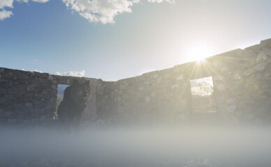 Wolf at a ruin in a misty sunny landscape. 3D render.