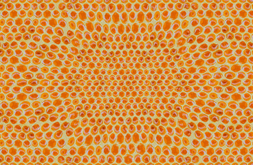 Texture cire d’abeille 