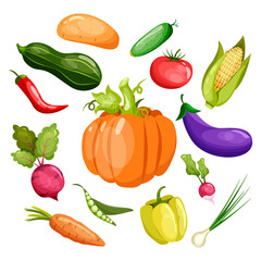 Collection of fresh and tasty vegetables in flat style. Set of ripe vegetables. Healthy food.