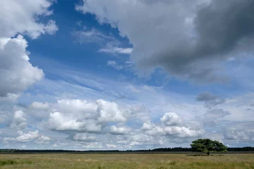 Fototapete Naturereserve Doldersummerveld, Drenthe Province, The Netherlands © Holland-PhotostockNL