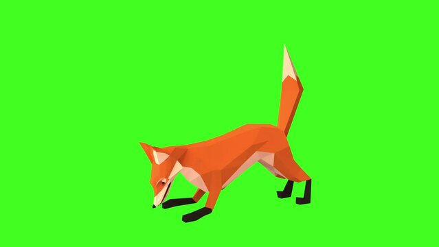 Fox animation, Red fox eating Loop animation. Isolated and cyclic animation. Green Screen. 3D animation of a cute red fox eating on green chroma key background