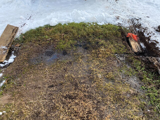 Firewood log and boards used to improve the grip of stuck car tires in the spring in a mud meadow. Offroad. Stuck in the car in the mud