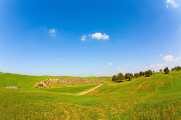   Magnificent spring in Israel.