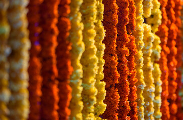 yellow and orange marigold in wedding decoration