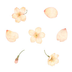 水彩風 桜パーツ